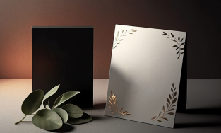 Siddarth Printers, Hassan